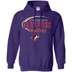Dilly Dilly A True Friend Of The Arizona Coyotes Hoodie - The White Eagles